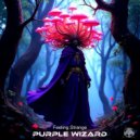 Purple Wizard - Eva Strange Grooving
