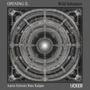 Aaron Schwarz - Wild Substance