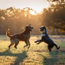 Bruma Pacífica & Armonía para Perros & En Casa con Música para Perros - Sonidos Armónicos De Ladridos ()