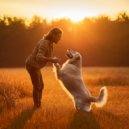 Huellas Musicales & La melodía calma a los seres & Paz en el alma animal - Mascotas Con Confortable Armonía ()