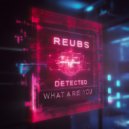 Reubs - Detected (Original Mix)