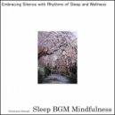 Sleep BGM Mindfulness - Lullabies of Emotional Flow Gently Rocking The Mind To Sleep