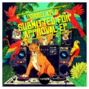 Correlated - Lanterns