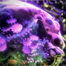FRAXURE - Again