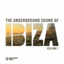 Alec Chizhik & Markus Mehta - Tactile (Stacey Pullen Remix)