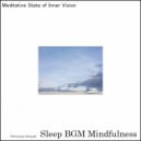 Sleep BGM Mindfulness - Lunar Elixirs For A Weary Mind's Relief