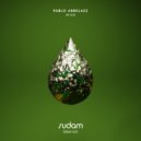 Pablo Arbelaez - Nocturnal