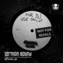 Ternion Sound - PartyTool_001 (Original Mix)