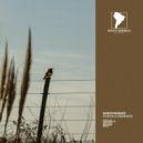 Marcos Mariano - Tetrahedron