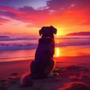 Viajes tranquilos & Música para Perros Curación & Música para Perros Proyecto - Música Suave Para Dormir Al Canino ()