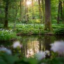 Esencia instrumental & Ritmos suaves del cosmos & Ondas del loto - Concéntrate A Través De Ritmos Tranquilos ()