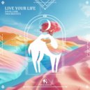 Cafe De Anatolia, Pavel Lode, Tina Kravetz - Live Your Life (Original Mix)