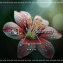 Max Magnani - Max On The Block (Original Mix)