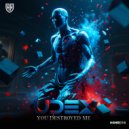 Udex - You Destroyed Me (Original Mix)