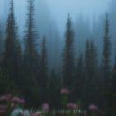 squalør - dream come true ()