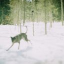 Daniel Craig - Into the great wide open ()