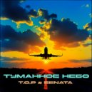 SeNata & T.O.P - Туманное небо ()
