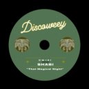 Shabi - That Magical Night (Original Mix)