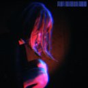 Animadrop - past/shadows/inside