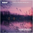 Sound Delicious - Save the World