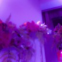 прогноз на будущее - Болен тобою ()