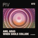 Anil Aras - When Souls Collide (Original Mix)