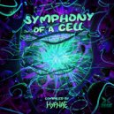 ZYNO - Chemical Process