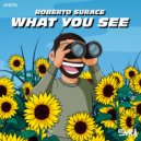 Roberto Surace - What You See (Original Mix)