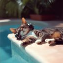 Jeby, Chill House Kitten - White dawn (Original Mix)