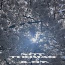 Not Thomas - Beggar On A Tree (Original Mix)