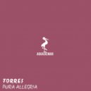 Torres - Pura Allegria (Original Mix)