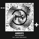 Anicée - Into The Night. (Agent Greg Remix)