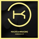 FEX (IT) & Mole (DE) - Harmonika