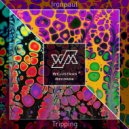 Ironpaul - Tripping (Original Mix)