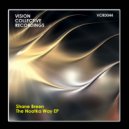 Shane Breen - Steady Dissonance
