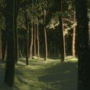 sqq - polar silence (speed up)