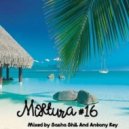 Dj.Sasha ShiL And Dj.Antony Key - Mixtura (#16)