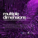 Liquid Mechanics - Savant (Original Mix)