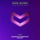 Gabriele Agostino - Business
