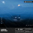 Lucyx - Salty Boss (Techno)