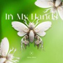 Hakan Akkus - In My Hands
