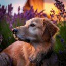 Lofi Sleep & Dog Frequency & Dog Frequencies - Relaxing Rhythms Canine Comfort ()