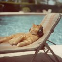 Flynet & Chill House Kitten - Serene sunrise (Original Mix)