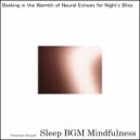 Sleep BGM Mindfulness - Inner Reflections Through Gentle Soundscapes