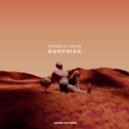 MAXTAGE & FLARUND - Surprise