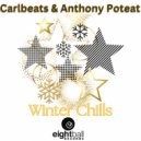 Carlbeats & Anthony Poteat - Winter Chills (Instrumental Mix)