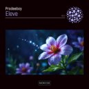 Prodeeboy - Eleve