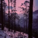 sqq - polar silence (slowed)