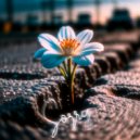 NIK RED - SORRY (Original Mix)