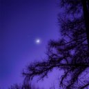 прогноз на будущее - Зависимость ()